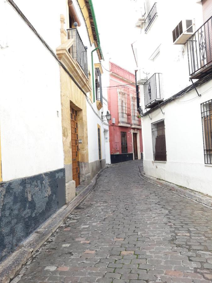 Apartamento pleno centro Wallada Cordova Esterno foto