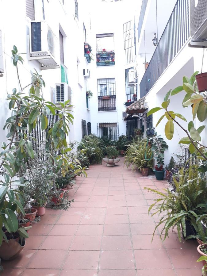 Apartamento pleno centro Wallada Cordova Esterno foto
